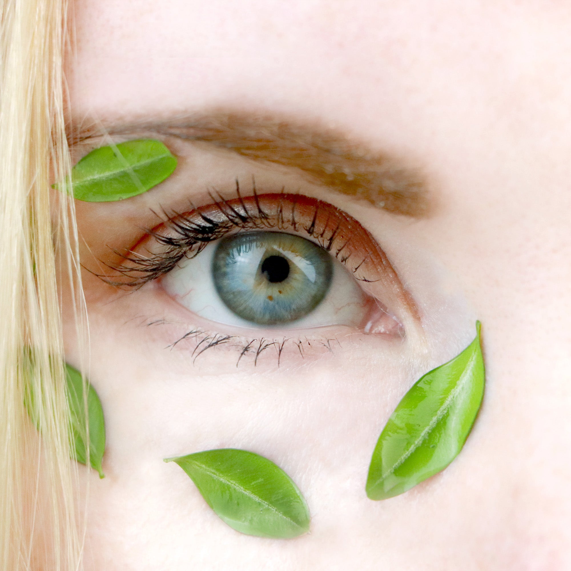 Eye Care – Astroida