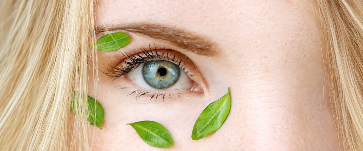 Eye Care — wide desktop catalogue artwork